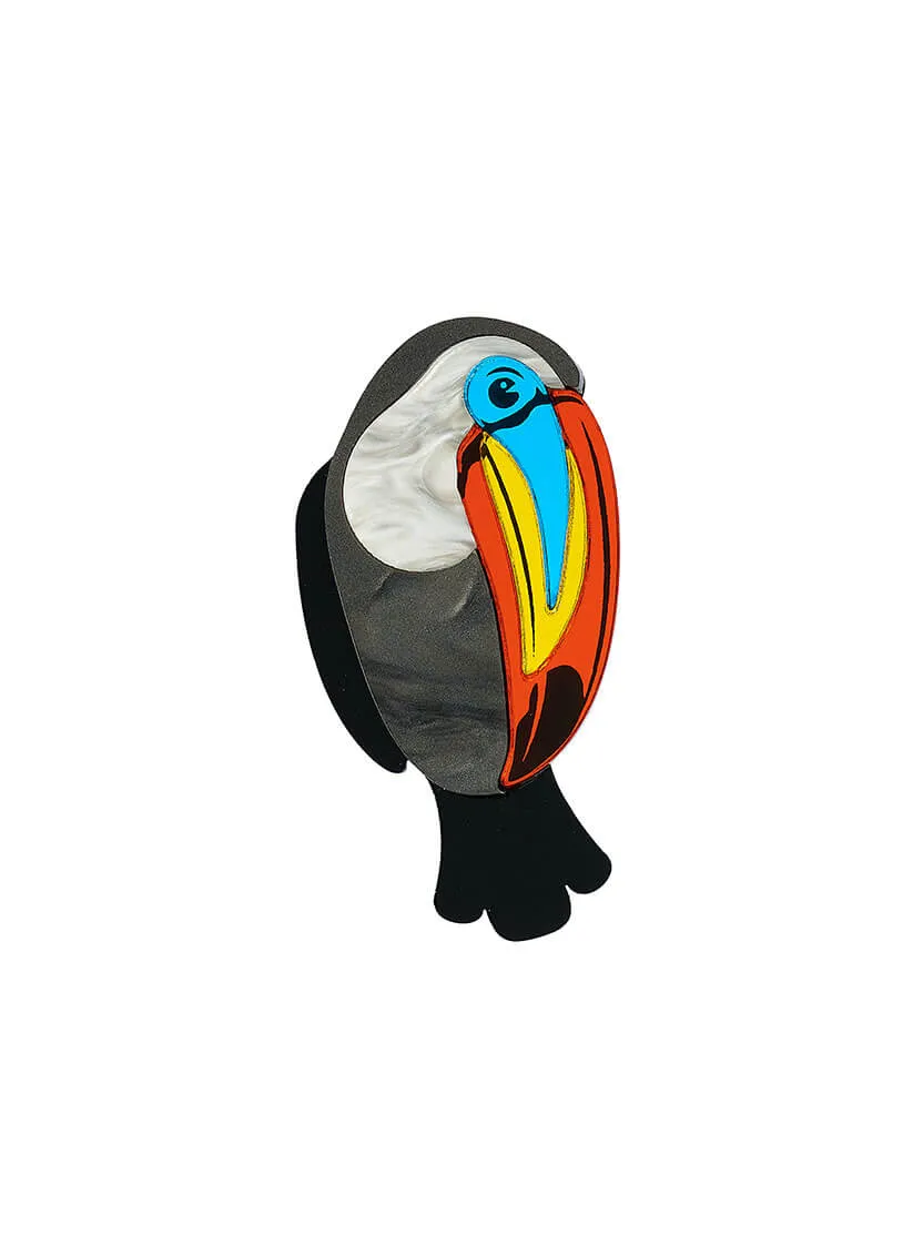 Toucan Brooch