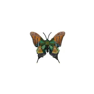 Trovelore Emperor of India Butterfly Brooch Pin